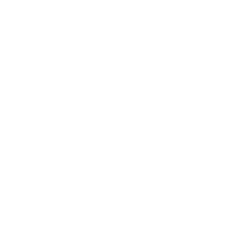 SCINTILLA